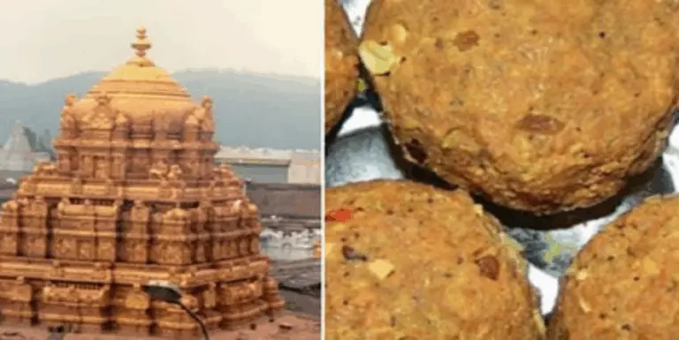 Tirupati Laddu Scam: CBI Finds Rs 250-Crore Fake Ghee Supplied To Temple Trust