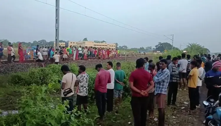 Another Elephant Death In Odisha: Tusker Dies After Being Hit By Train In  Mayurbhanj | OdishaBytes