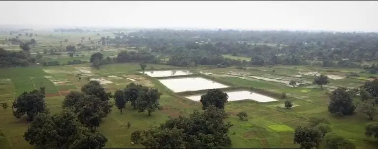 Tata Steel Foundation Builds 243 Ponds In Odisha’s Kalinganagar To Boost Water Security & Agriculture