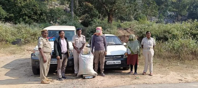 2 Drug Peddlers From MP Nabbed With 26 Kg Cannabis In Odisha’s Gajapati