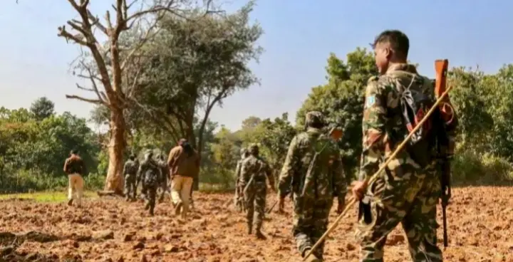 Five Maoists, DRG Personnel Killed In Chhattisgarh Encounter; One Jawan Injured