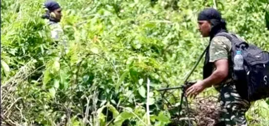 Eighteen Maoists Killed In 24-Hour-Long Encounter In Chhattisgarh; Three Security Personnel Lay Down Their Lives