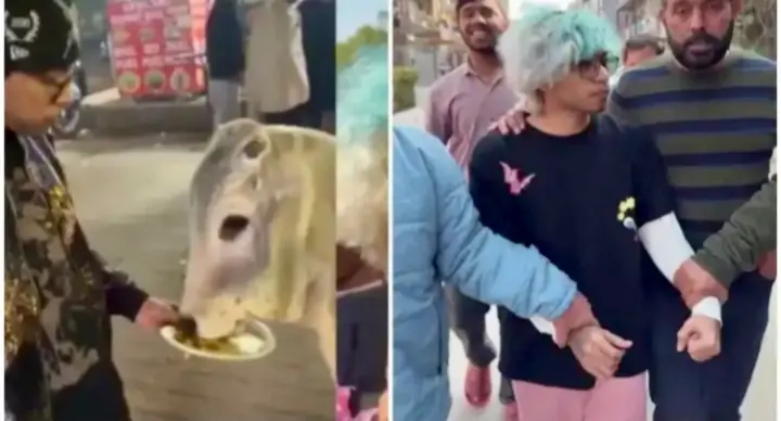 Gurugram Man Dragged Out, Paraded For Feeding Chicken Momos To Cow