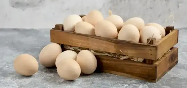 Eggs In India Are Safe For Consumption, FSSAI Announces Amid Rumours Of Carcinogenic Content