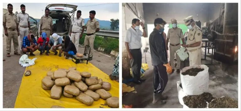Operation Dharapagad: Odisha Police Seize Narcotics Worth Rs 10 Cr, Arrest 40 Accused
