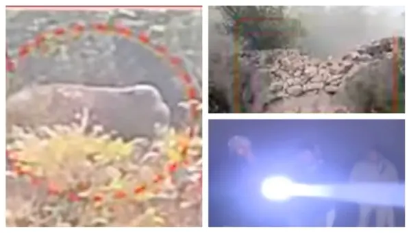 Bhubaneswar’s Shikharchandi Hill Reopens As Straying Tuskers Return To Bharatpur Forest