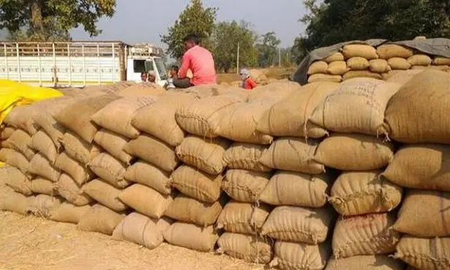 Armed Cops To Man Border Check Posts In Odisha’s Mayurbhanj To Stop Illegal Paddy Movement From Bengal, Jharkhand