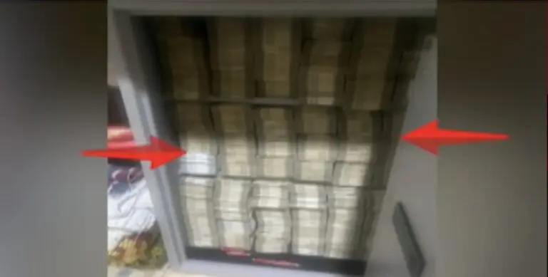 ED Raids Over 20 Sites In Odisha’s Ganjam, Seizes Rs 2 Crore Cash In Illegal Mining Probe