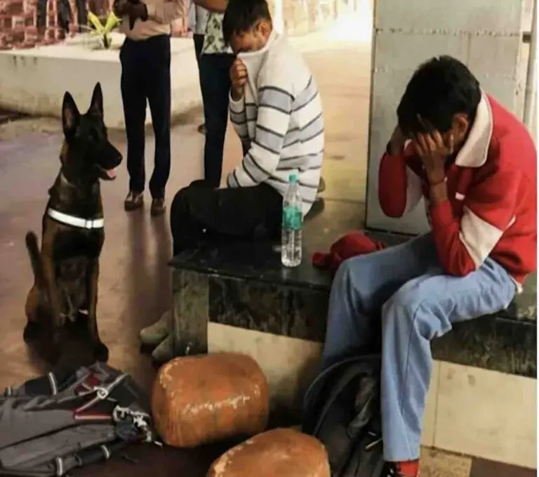 Sniffer Dog Helps RPF Nab 2 Ganja Peddlers At Bhubaneswar Railway Station