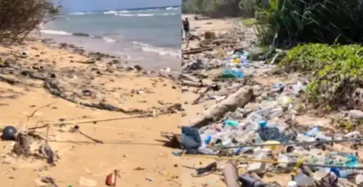 Garbage From Thailand, Myanmar, Malaysia Wash Up On Pristine Andaman Beaches; Netizens Outraged