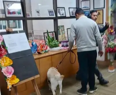 Gurugram Schools Rocked By Bomb Threat Mails; Classes Suspended