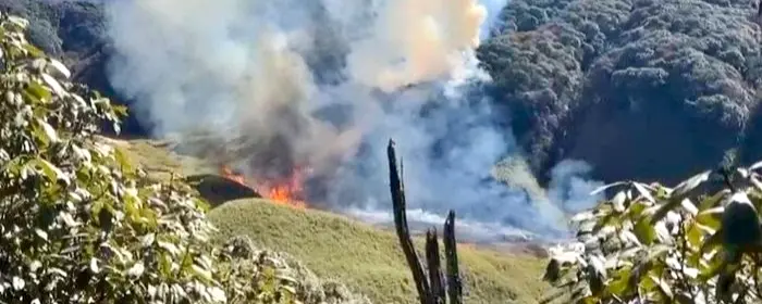 Wildfire Erupts In Nagaland’s Dzukou Valley, Over 30 Trekkers Evacuated
