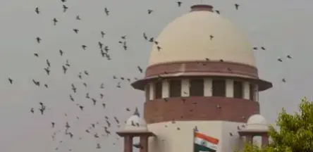 SC Extends Tenure Of Gita Mittal Panel Formed To Provide ‘Healing Touch’ In Manipur