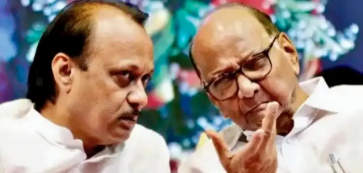 Sharad Pawar Dismisses ‘Conspiracy Angle’ Behind Nephew Ajit’s Death In Air Crash