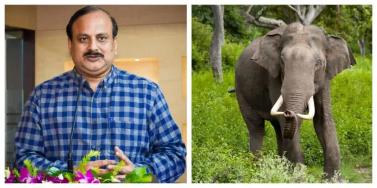 Ex-IFS Officer From Odisha Susanta Nanda Appointed To Project Elephant’s New Steering Committee