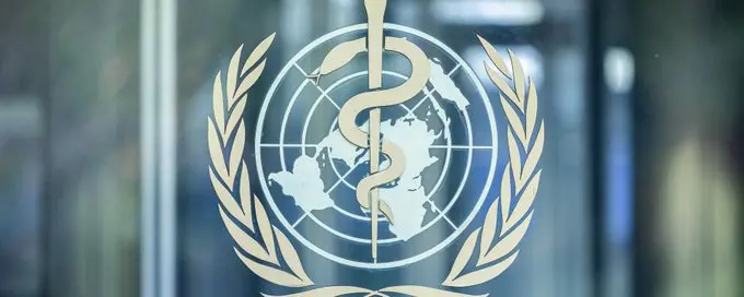 No Need For Curbs On Travel Or Trade, Low Risk Of Spread: WHO On Nipah Virus In India