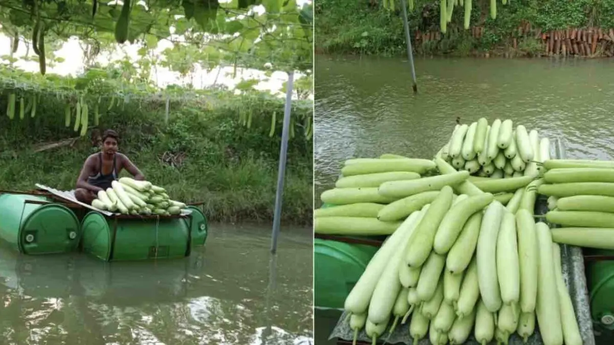 PM Modi’s Mann Ki Baat Shoutout To Odisha Farmer Hirod Patel’s ‘Smart Pond’ Revolution