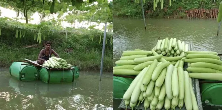 PM Modi’s Mann Ki Baat Shoutout To Odisha Farmer Hirod Patel’s ‘Smart Pond’ Revolution