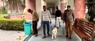 Mohali’s Fortis Hospital Gets Bomb Threat; Cops On Alert As CM Mann Receives Treatment