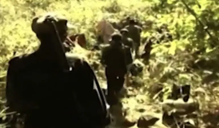 3 Maoists Killed In Gunfight With Security Forces In Odisha’s Karada Forest