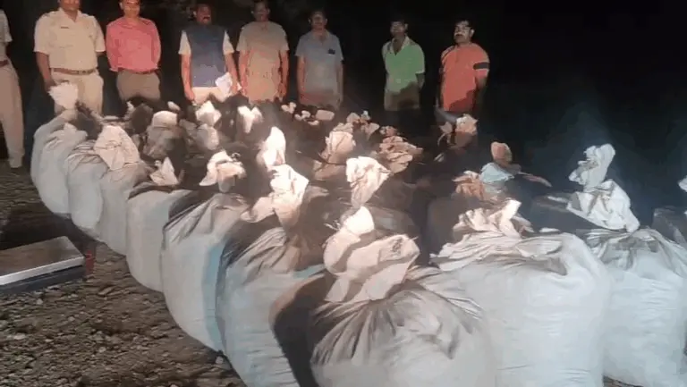 Odisha Police Seize 1250 kg Ganja Worth Over Rs 1 Crore In Forest Raid In Malkangiri