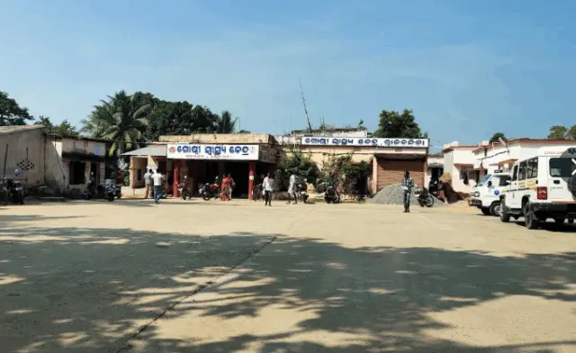 Elderly Man Dies, 5 Injured In Bee Attack In Odisha’s Kendrapada