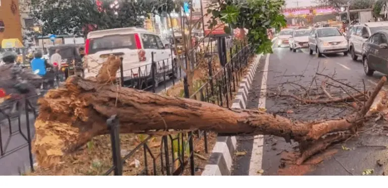 One Dies, Several Injured As Hoarding Collapses During Gusty Wind In Bhubaneswar