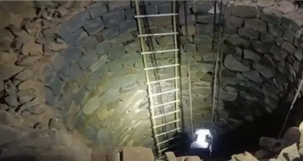 Herd’s Desperate Rescue Fails, Elephant Calf Dies In Keonjhar Well Mishap