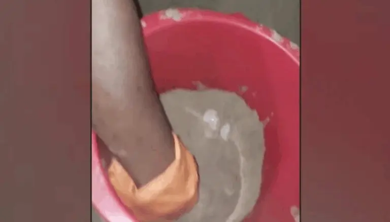 Olive Ridley Sea Turtles Lay 114 Eggs On Puri’s Bustling Blue Flag Beach