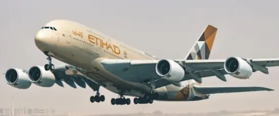 Flight From Abu Dhabi Lands In Delhi; IndiGo Plans 10 Special Flights From Jeddah