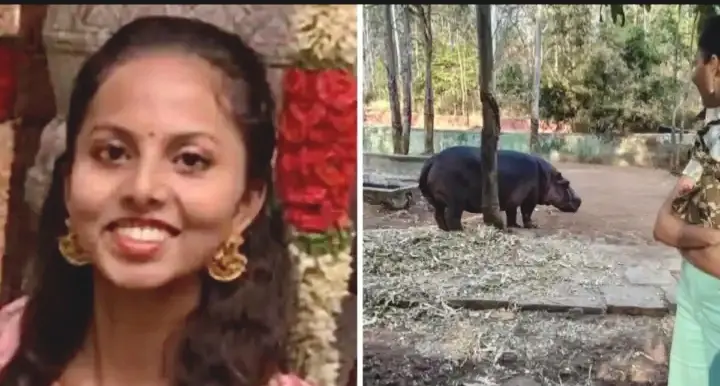 Veterinarian Killed In Hippo Attack At Karnataka Safari; Was Carrying Out Medical Examination