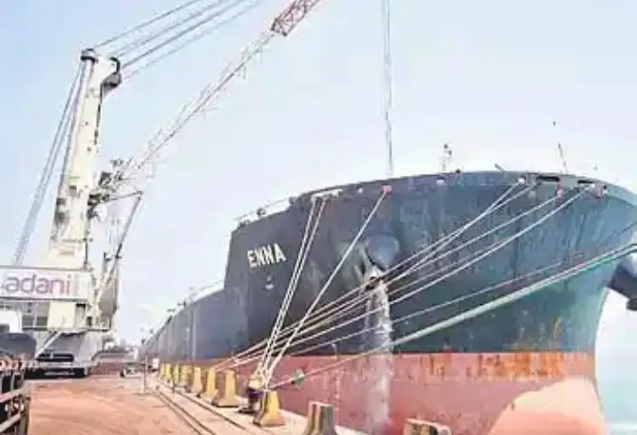 Tata Group Considers Long-Term Logistics Strategy With Odisha’s Dhamra Port After Arrival Of Iron Ore Vessel