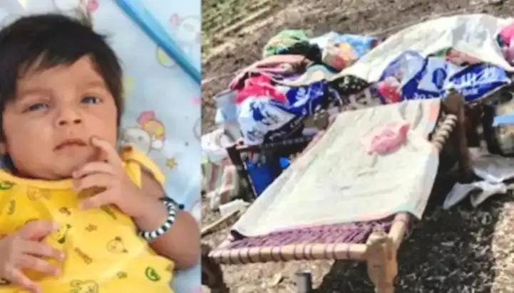 Maharashtra Tragedy: Two-Month-Old Taken Away And Devoured By Leopard Near Farmland