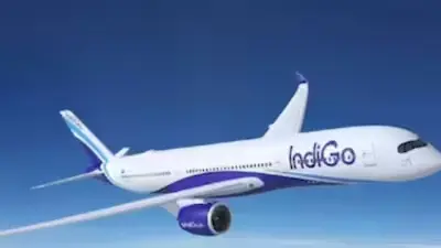 Indigo flight incident