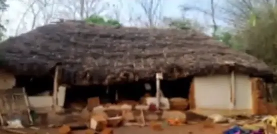 Midnight Elephant Raid Claims Life Of Toddler In Wall Collapse In Odisha’s Balasore