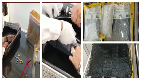 6 Crore Marijuana Seized At Bhubaneswar Airport; 2 From Tamil Nadu Detained