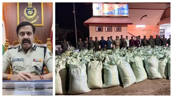 Villagers Flee To Hills Abandoning 4060 Kg Ganja In 202 Sacks In Odisha’s Gajapati