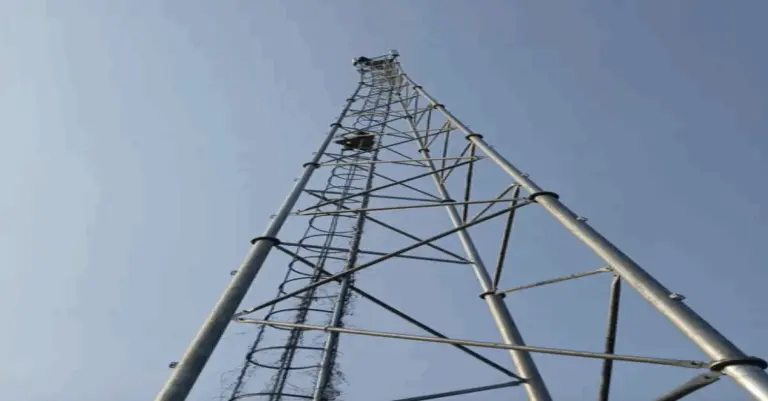 Young Man Attempts Suicide By Climbing Tower In Odisha’s Malkangiri, Rescued Safely