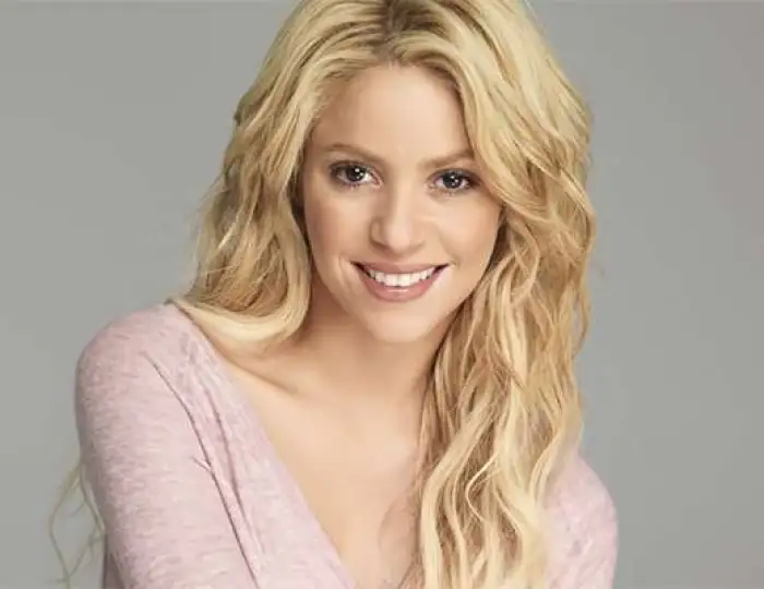 Shakira India concert postponed