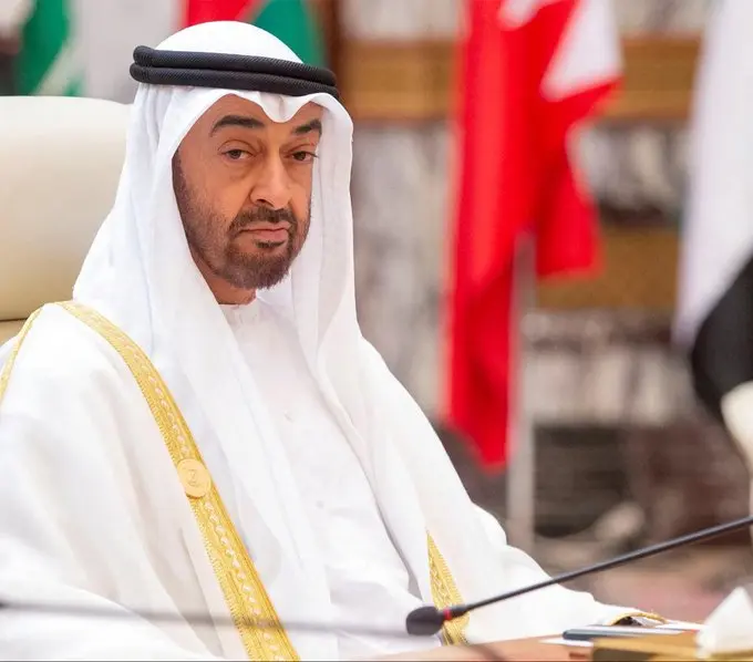 Your War Is Not With Neighbours: UAE President Warns Iran