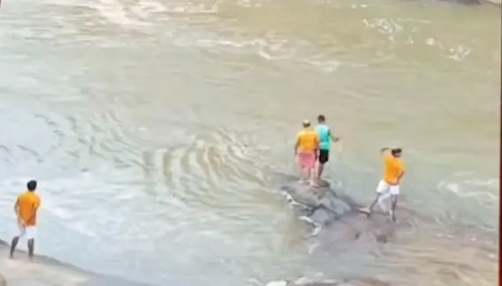 Search Underway For ASO Missing After Drowning In Odisha’s Putudi Waterfall