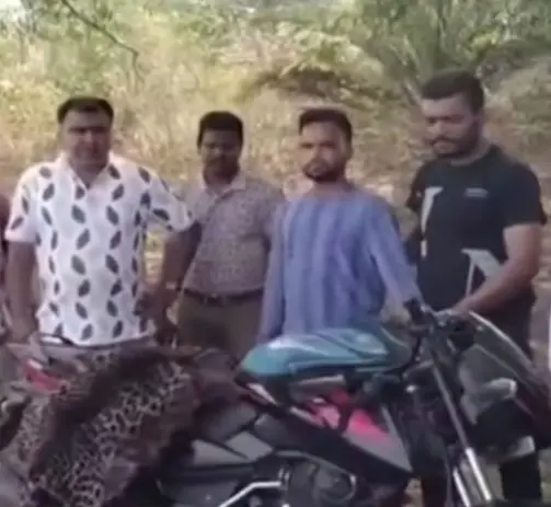 Man Held For Poisoning Leopard In Revenge For Cow’s Death In Odisha’s Kandhamal