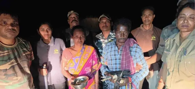 Odisha: Debrigarh Night Patrol Squad Arrests Couple For Peacock Poaching