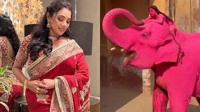 Rupali Ganguly Slams Jaipur Creator Over Painted Elephant, Appeals To Narendra Modi For Action