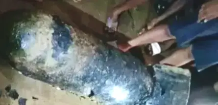 Third World War II Bomb Found In Subarnarekha River In A Month; Army Called In