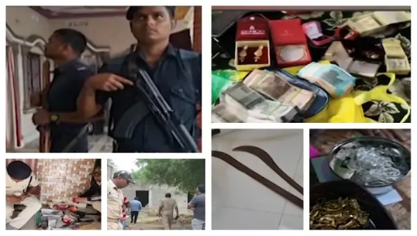Crackdown On Cattle Smuggling: Raids On In 3 Odisha Dists; Cash, Gold & Weapons Seized