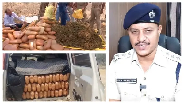 360 Kg Ganja Worth Rs 1.5 Cr Seized From Abandoned SUV In Odisha’s Balangir