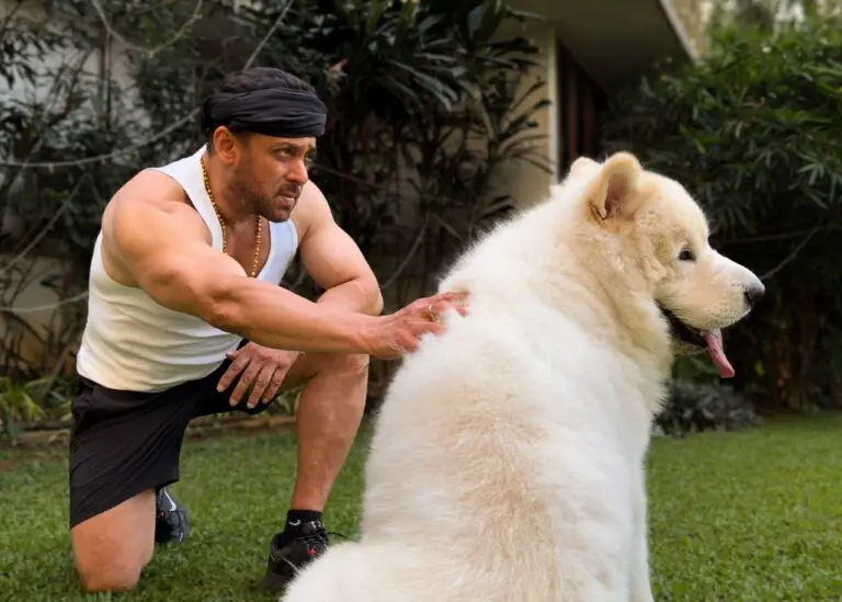 Salman Khan Mobbed At Thane Programme, Here’s How