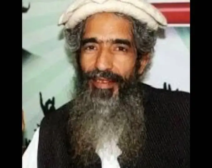 Lashkar-e-Taiba Co-Founder Amir Hamza Shot At In Lahore, Condition Critical