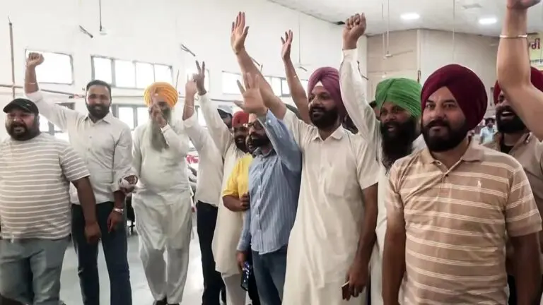 AAP shine in Punjab civic polls